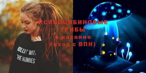 прущая мука Надым