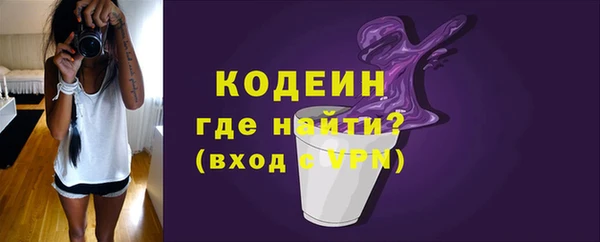индика Михайловка