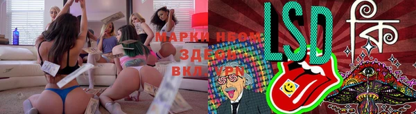 индика Михайловка