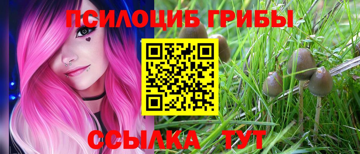 Галлюциногенные грибы GOLDEN TEACHER Брянск