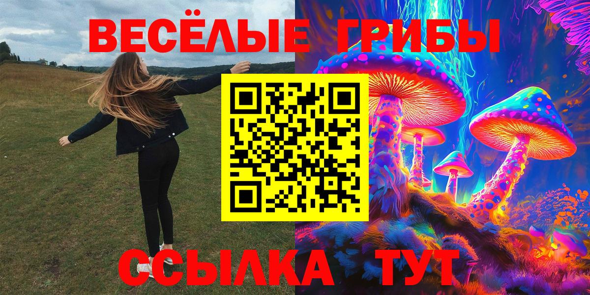 APVP Брянск
